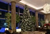横浜ロイヤルパークホテルの写真・動画_image_469827