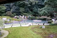 青蓮院門跡の写真・動画_image_21901