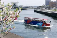 スカイダック チケット売場・乗車場 (日本丸メモリアルパーク)の写真・動画_image_325912