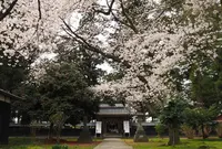 藤基神社の写真・動画_image_461827