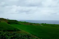 新井の棚田の写真・動画_image_267507