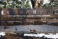 神代植物公園の写真・動画_image_293513