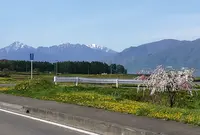 蓼科高原の写真・動画_image_317833