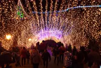 宮ヶ瀬湖畔園地の写真・動画_image_17787