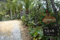 【閉業】カフェ七色の風の写真・動画_image_71995