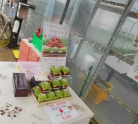 伊豆下田なごみ果園の写真・動画_image_130421