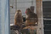 真教寺公園の写真・動画_image_35676