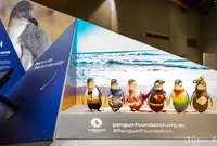 Penguin Parade Visitor Centreの写真・動画_image_1123698