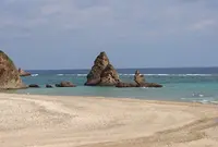 カフェ 水母の写真・動画_image_72003