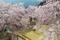 智者の丘公園の写真・動画_image_318130