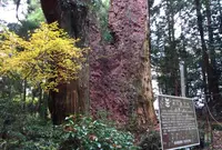 満願寺の写真・動画_image_58766