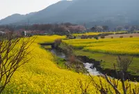上堰潟公園の写真・動画_image_146955