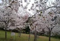 北畠史跡公園の写真・動画_image_176945