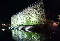 あしかがフラワーパークの写真・動画_image_75680