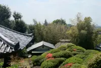 TERAKOYAの写真・動画_image_76986