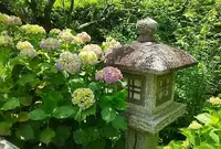 梅宮大社の写真・動画_image_79089