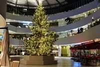 横浜ベイクォーターの写真・動画_image_469872