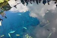 忍野八海の写真・動画_image_526949