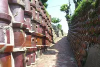 常滑市陶磁器会館の写真・動画_image_45557