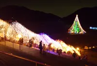 宮ヶ瀬湖畔園地の写真・動画_image_124864