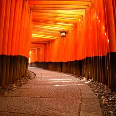 京都