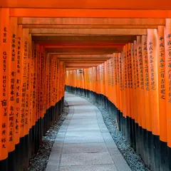 宇治・伏見
