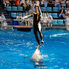 暑い夏のおでかけに！屋内で楽しめる都内の水族館・イベントまとめ