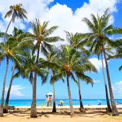 【ハワイツアーガイド】ツアー選びのポイントや旅の見どころ・アクセス情報まで！