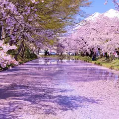 青森旅行ガイド！人気エリアや見どころ・アクセス情報が満載！ 