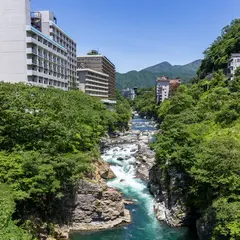 栃木旅行ガイド！人気エリアや見どころ・アクセス情報が満載！