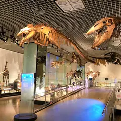 【国立科学博物館の楽しみ方完全ガイド】親子で学べる体験型ミュージアム！