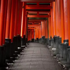 03 / おすすめの旅行期間