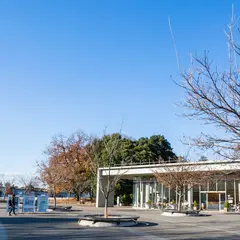【昭和記念公園】駐車場情報を徹底紹介！