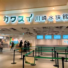 【カワスイ 川崎水族館】世界初・日本初の最新展示技術を駆使！新感覚のネイチャーエンターテインメント水族館