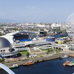 【名古屋港水族館の楽しみ方完全ガイド】観光やデートにおすすめの情報や周辺情報も満載！