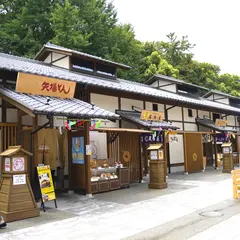 【金シャチ横丁の楽しみ方完全ガイド】観光やデートにおすすめの情報や周辺情報も満載！