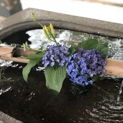 【雨の日も満喫】雨の日だからこそ楽しめる！祇園・東山の歩き方ガイド