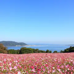 【カップルで行く福岡観光】デートにおすすめの福岡観光スポットを紹介！ 