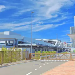 【豊洲市場の楽しみ方ガイド】デートや食べ歩きに！スタッフのおすすめ情報満載