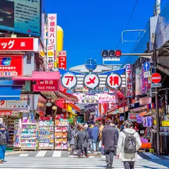 【アメ横の楽しみ方完全ガイド】激安の街上野でお得に買い物！周辺情報も満載