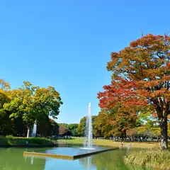 【代々木公園の楽しみ方】ピクニックやドッグラン、デートなど春夏秋冬使えるおすすめ情報をスタッフがご紹介！