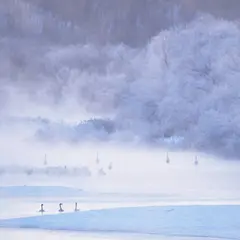 【北海道のおでかけ・観光マップ】地図から名所や周辺おすすめ情報を探そう！