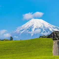 【静岡県観光スポット紹介】動物や自然に触れ合えるスポットから絶景スポットまでおすすめスポット30選