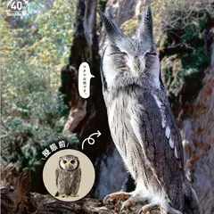 「化ける」生き物たちがテーマの『化ケモノ(ばけもの)展』サンシャイン水族館で開催!