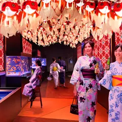 日本最大級!1000匹の金魚を集めた夏まつり「東京金魚ワンダーランド2018」開催