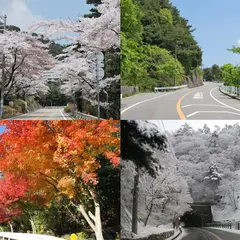 芦有ドライブウェイ