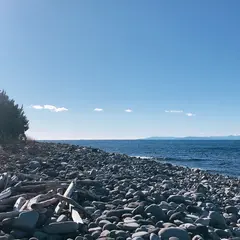 大瀬崎
