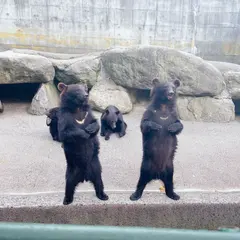 クマ牧場前