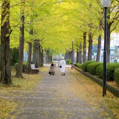 宇都宮駅東公園