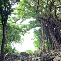 大石林山